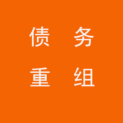 西夏个人债务重组优化